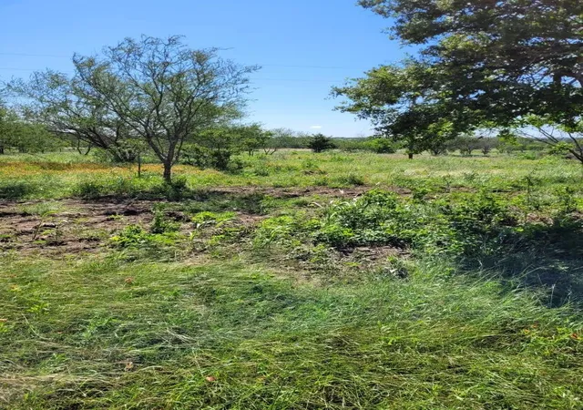 Photo 2 of Land for sale at 0 Emil Blank Rd, Yoakum, TX 77995 | MLS# 6601682 | Listing updated on 2026-08-29