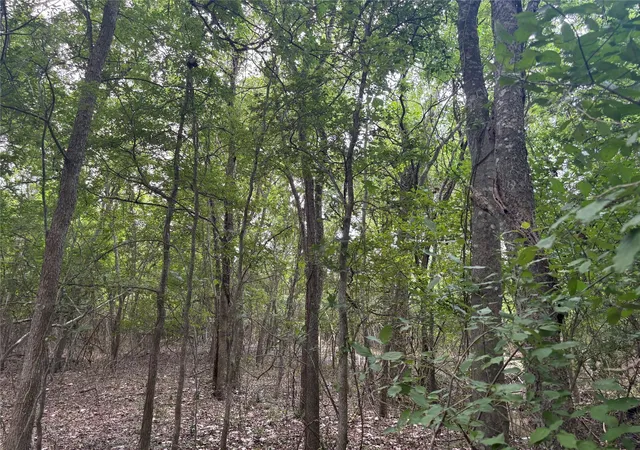 Photo 3 of Land for sale at 1500 Bottoms E Rd, Troy, TX 76579 | MLS# 9137592 | Listing updated on 2026-09-25