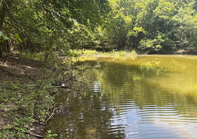 Photo 4 of Land for sale at 1500 Bottoms E Rd, Troy, TX 76579 | MLS# 9137592 | Listing updated on 2026-09-25