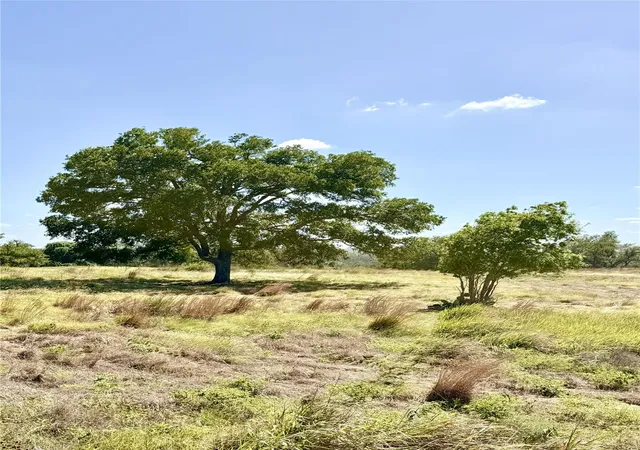 Photo 4 of Land for sale at Lot 91 Axis Cir, Fredericksburg, TX 78624 | MLS# 9669019 | Listing updated on 2026-08-31