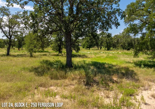 10th image of 250 Ferguson Loop, Dale, TX 78616 | MLS# 6152221
