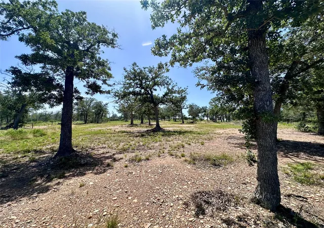 14th image of Tbd Edgewood Trl, Paige, TX 78659 | MLS# 2121589