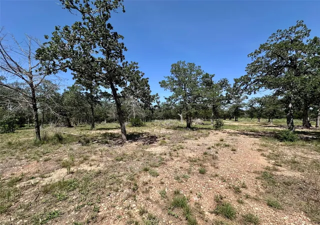 4th image of Tbd Edgewood Trl, Paige, TX 78659 | MLS# 2121589