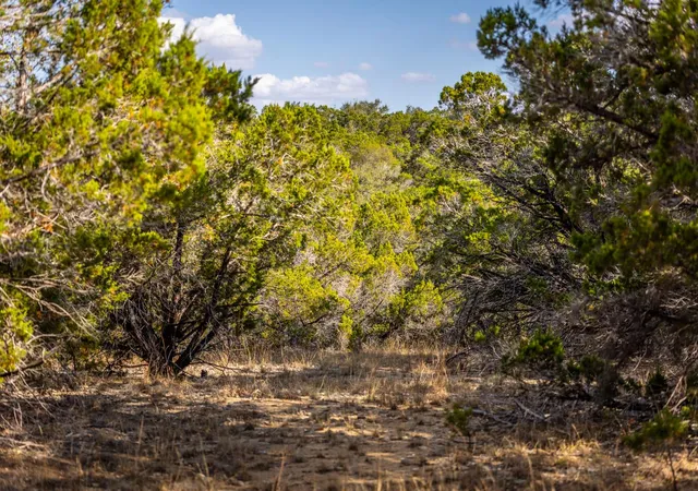 3rd image of 220 Estates Rd, Wimberley, TX 78676 | MLS# 9110471