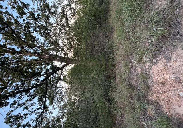 2nd image of Lot 4 Spruce St, Paige, TX 78659 | MLS# 9622959