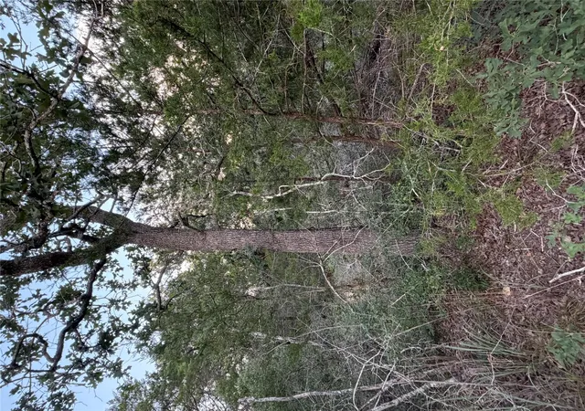 Photo 3 of Land for sale at Lot 4 Spruce St, Paige, TX 78659 | MLS# 9622959 | Listing updated on 2026-09-28