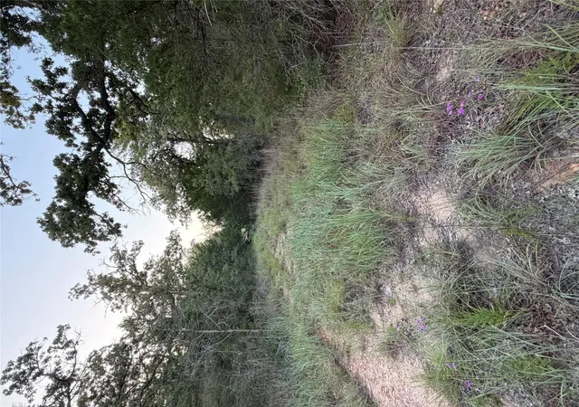 Photo 3 of Land for sale at Lot 4 Spruce St, Paige, TX 78659 | MLS# 9622959 | Listing updated on 2026-09-28