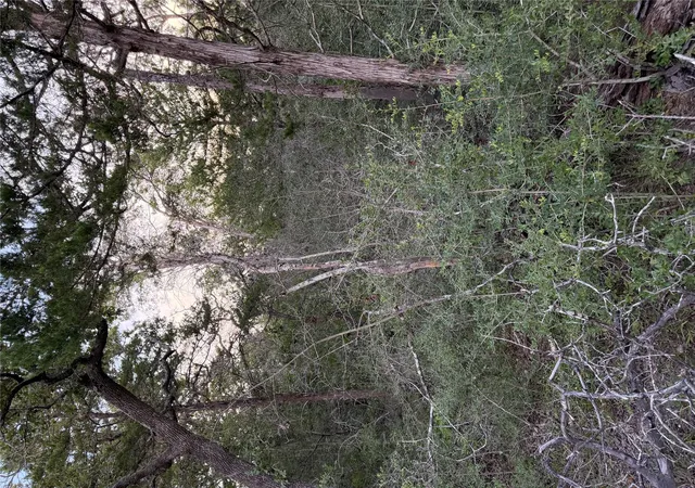 Photo 4 of Land for sale at Lot 4 Spruce St, Paige, TX 78659 | MLS# 9622959 | Listing updated on 2026-09-28