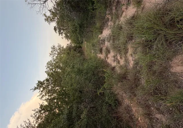 9th image of Lot 4 Spruce St, Paige, TX 78659 | MLS# 9622959