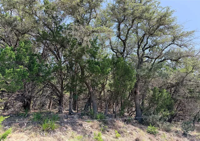 17th image of 250 Oak Knob, Wimberley, TX 78676 | MLS# 9245710