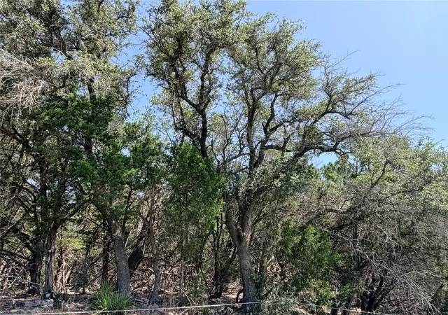 2nd image of 250 Oak Knob, Wimberley, TX 78676 | MLS# 9245710