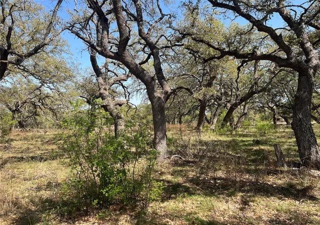 Photo 2 of Land for sale at Lot 43 Waterbuck Way, Lampasas, TX 76550 | MLS# 6910018 | Listing updated on 2026-07-22