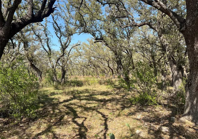 Photo 3 of Land for sale at Lot 43 Waterbuck Way, Lampasas, TX 76550 | MLS# 6910018 | Listing updated on 2026-07-22