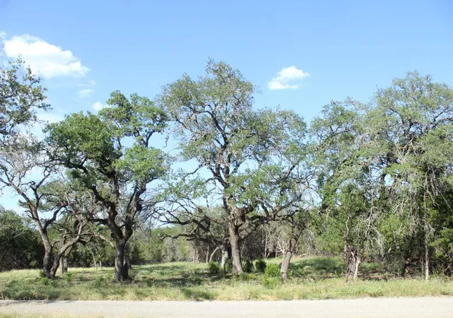 1st image of Lots 56 57 Travis Oaks Dr, Marble Falls, TX 78654 | MLS# 9934967
