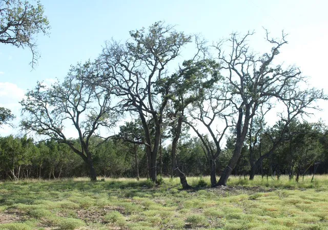 2nd image of Lots 56 57 Travis Oaks Dr, Marble Falls, TX 78654 | MLS# 9934967