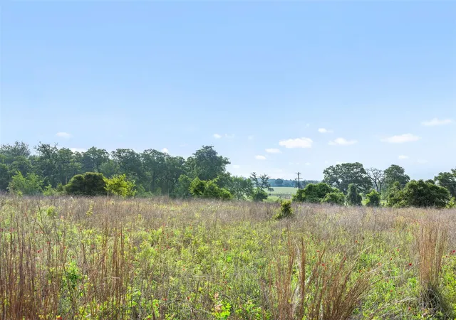 1st image of 5241 County Road 358 Crst, Caldwell, TX 77836 | MLS# 7940979