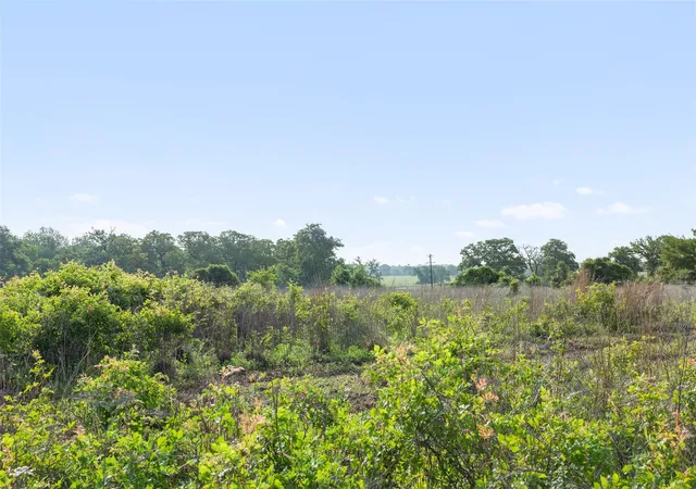 40th image of 5241 County Road 358 Crst, Caldwell, TX 77836 | MLS# 7940979