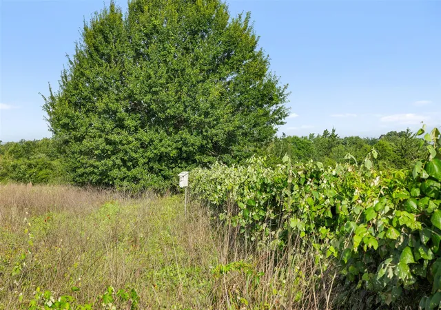 Photo 3 of Land for sale at 5241 County Rd 358 Crst, Caldwell, TX 77836 | MLS# 7940979 | Listing updated on 2026-08-17