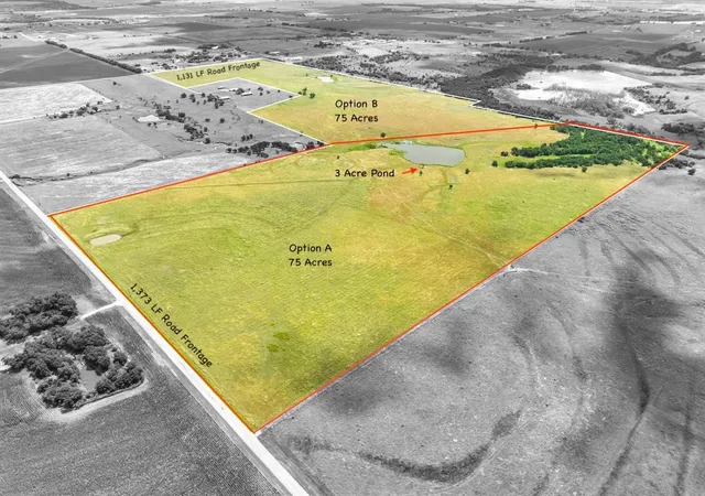 2nd image of Tract 1   75 Acres County Road 419, Taylor, TX 76574 | MLS# 5652167