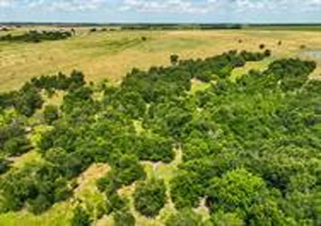 3rd image of Tract 1 - 75 Acres County Road 419, Taylor, TX 76574 | MLS# 5652167