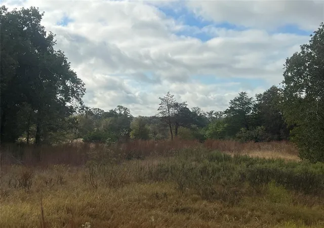 2nd image of Tract 25 Walleye Creek, Lexington, TX 78947 | MLS# 7959008