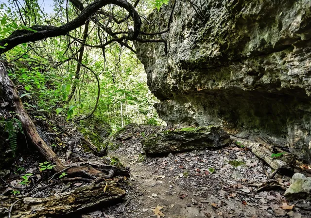 Photo 2 of Land for sale at Tbd Mcgregor Ln, Dripping Springs, TX 78620 | MLS# 4064387 | Listing updated on 2026-07-29