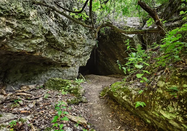 Photo 3 of Land for sale at Tbd Mcgregor Ln, Dripping Springs, TX 78620 | MLS# 4064387 | Listing updated on 2026-07-29