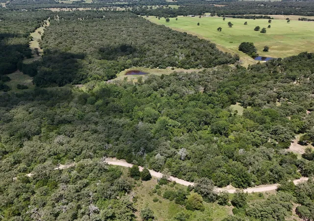 Photo 3 of Land for sale at Tbd Starlight Path, Caldwell, TX 77836 | MLS# 9808349 | Listing updated on 2026-07-27