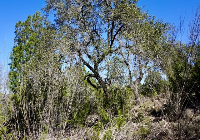 Photo 3 of Land for sale at 2506 Geronimo Trl, Austin, TX 78734 | MLS# 2886056 | Listing updated on 2026-07-26