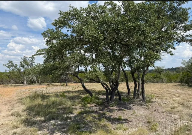 Photo 3 of Land for sale at Lot 36   665 Acres   Round Mountain Reserve Dr, Round Mountain, TX 78663 | MLS# 8655200 | Listing updated on 2026-07-27