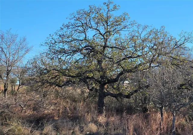 Land for sale at 1207 Rockcrest Dr, Granite Shoals, TX 78654 | MLS# 2552388