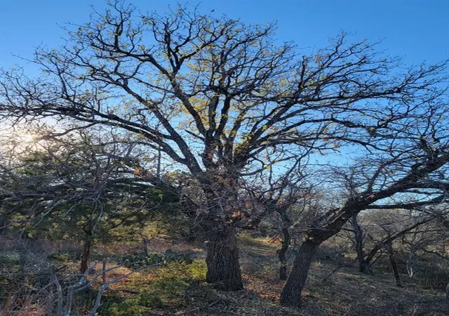 Photo 3 of Land for sale at 1207 Rockcrest Dr, Granite Shoals, TX 78654 | MLS# 2552388 | Listing updated on 2026-07-27