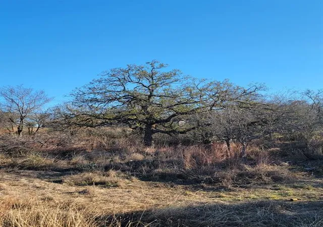Photo 4 of Land for sale at 1207 Rockcrest Dr, Granite Shoals, TX 78654 | MLS# 2552388 | Listing updated on 2026-07-27