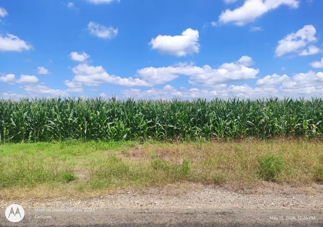 image of 3001 Dolphin (lot 2) Dr, Coupland, TX 78615 | MLS# 7377124