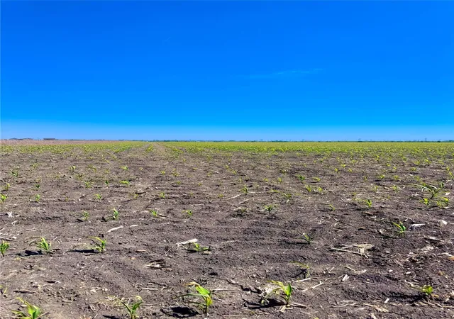 Photo 1 of Land for sale at Tbd Tract 4 Lund Carlson Rd, Coupland, TX 78615 | MLS# 5500022 | Listing updated on 2026-09-29