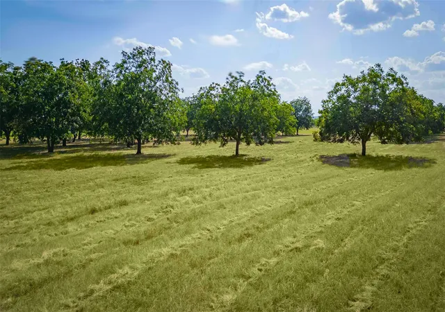 3rd image of 95 Loma Ln, Fredericksburg, TX 78624 | MLS# 4632893