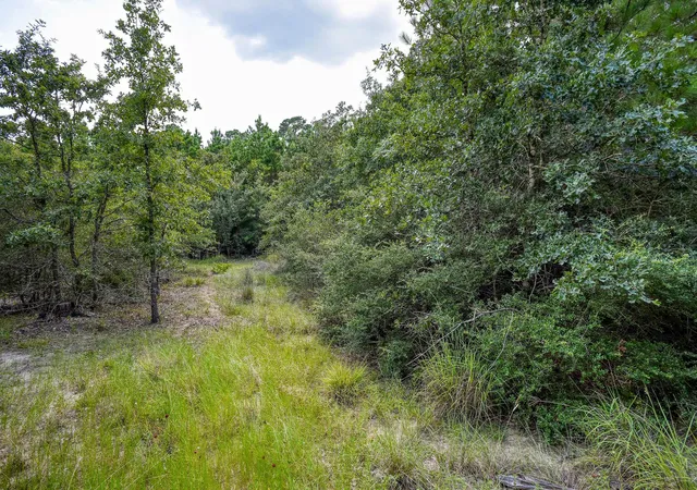 26th image of Tbd Poi Ct, Bastrop, TX 78602 | MLS# 6313567