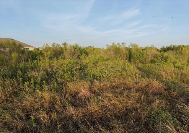 36th image of 232 E Ridge Ln, Niederwald, TX 78640 | MLS# 6865196