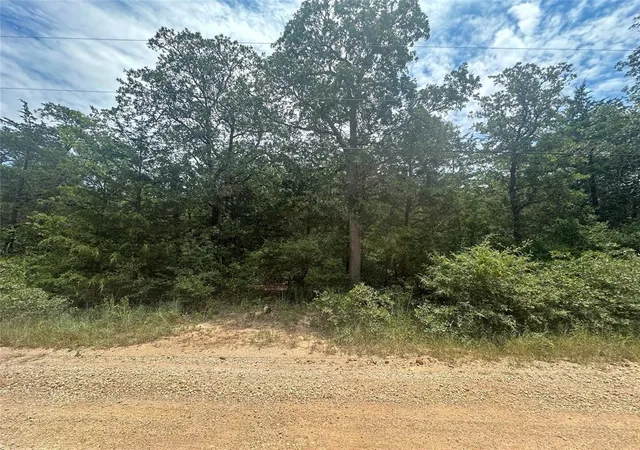 Photo 3 of Land for sale at 246 Arrowhead Dr, Smithville, TX 78957 | MLS# 7134897 | Listing updated on 2026-07-28