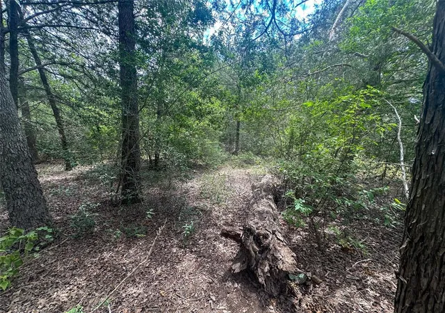 Photo 3 of Land for sale at 246 Arrowhead Dr, Smithville, TX 78957 | MLS# 7134897 | Listing updated on 2026-07-28