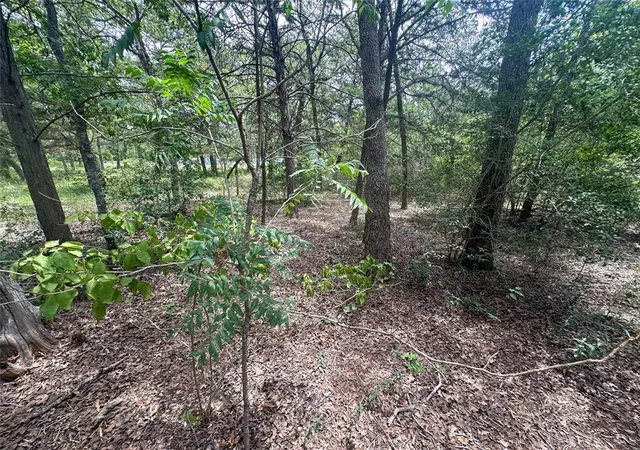 Photo 4 of Land for sale at 246 Arrowhead Dr, Smithville, TX 78957 | MLS# 7134897 | Listing updated on 2026-07-28