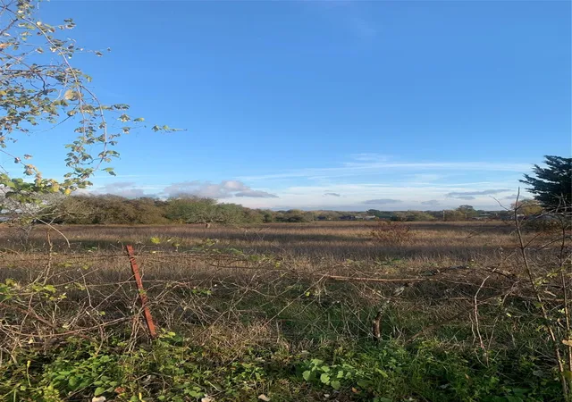 Photo 4 of Land for sale at Tbd Main St, Rosanky, TX 78953 | MLS# 7175078 | Listing updated on 2026-07-28