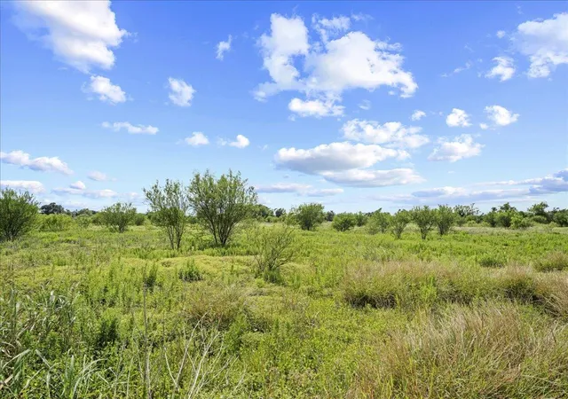 5th image of 399 Prune Rd, La Grange, TX 78945 | MLS# 5347655