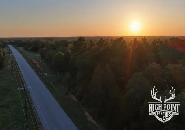 10th image of Tbd Ranch Road Off Cr 405 (+/  175 Acres), Lexington, TX 78947 | MLS# 4764253