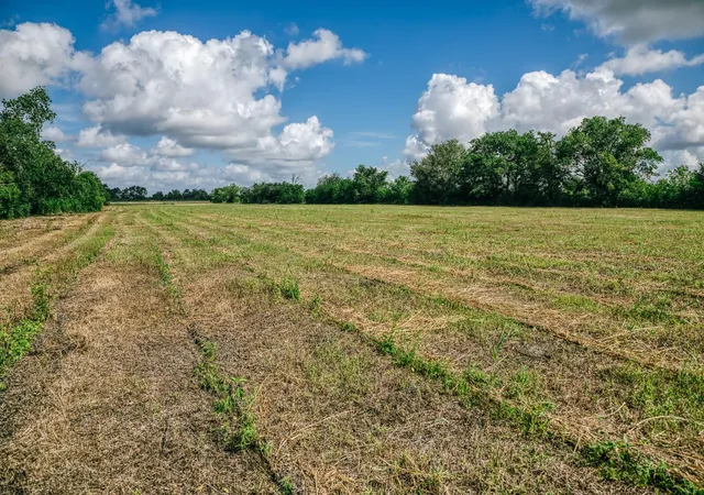 5th image of Tbd Fm 60, Snook, TX 77878 | MLS# 5703665