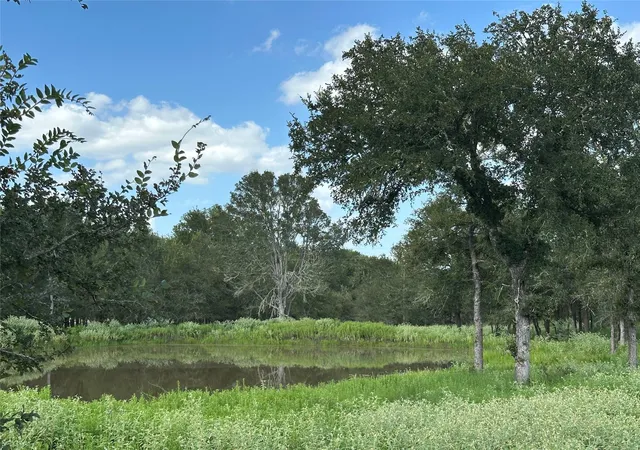6th image of 1085 County Road 426, Dime Box, TX 77853 | MLS# 3057599