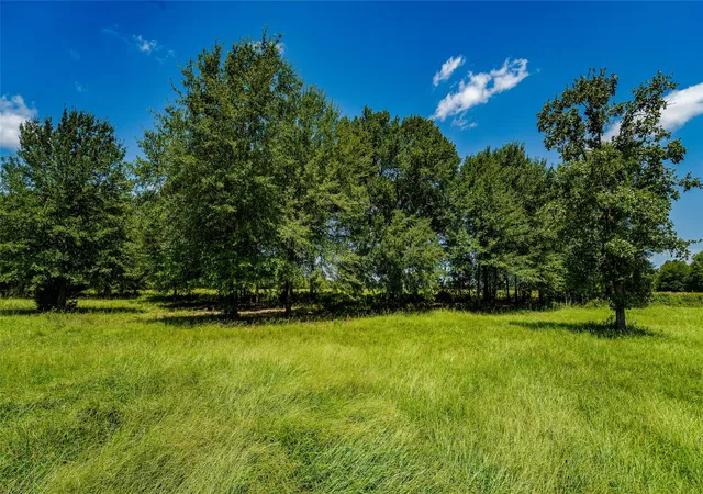 1st image of Tbd Cr 357, Gause, TX 77857 | MLS# 4847134