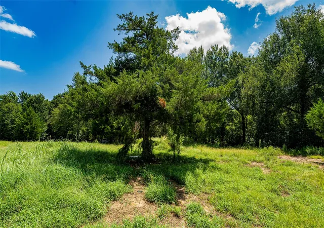 19th image of Tbd Cr 357, Gause, TX 77857 | MLS# 4847134