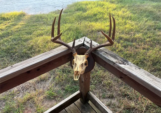 20th image of 2933 County Road 457, Thorndale, TX 76577 | MLS# 8374309