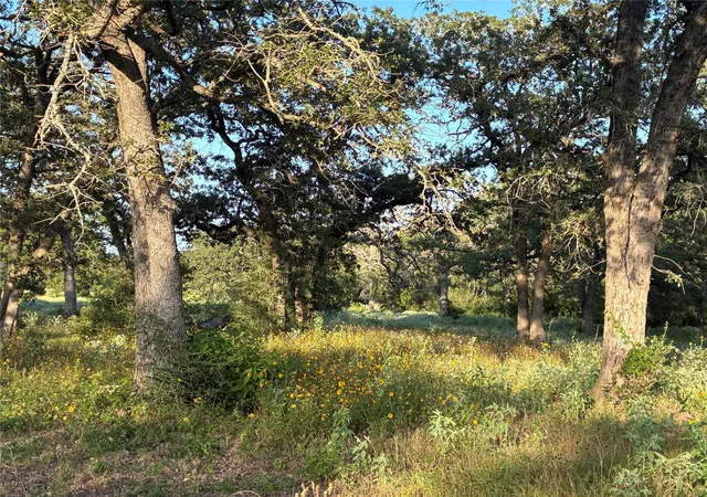 3rd image of 2933 County Road 457, Thorndale, TX 76577 | MLS# 8374309